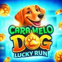 Caramelo Dog: Lucky Run