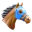 Horse Racing